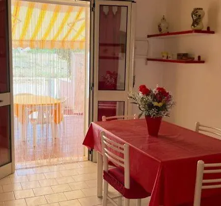 Le Conchiglie Di Cesavi